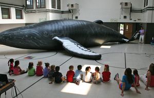 Whalemobile 1:30pm I